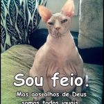 Sou feio…